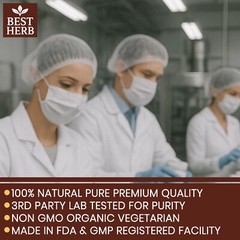 240 ORGANIC CAPSULES REISHI 20:1 EXTRACT MUSHROOM GANODERMA IMMUNE SYSTEM BOOST