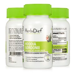 Hoodia Gordonii 20:1 Extract Capsules Boosts Energy Fat Burner Suppresses Hunger