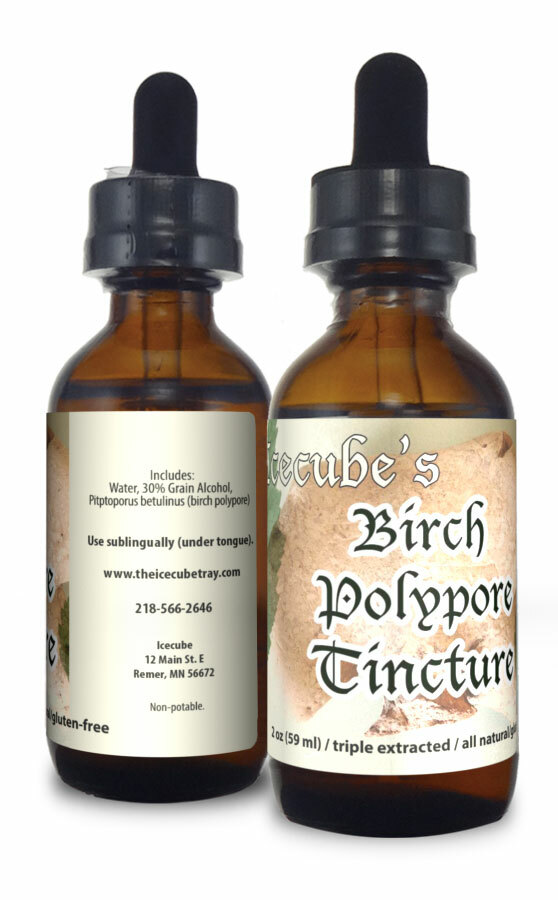 ICECUBE’S White BIRCH POLYPORE Triple Extracted 2 oz Tincture