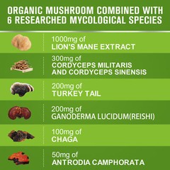 Lions Mane Mushroom Capsules 1000mg Brain Memory Focus Immune Support Supplyment