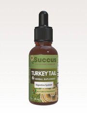 Turkey Tail Tincture – Gut Health