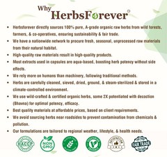 Herbsforever Gurmar Capsules – Gymnema Sylvestre – Herbal Supplement – 90 Cap…