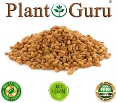 Fenugreek Seeds 5 lbs. Bulk Non-GMO Trigonella Foenum Graecum Whole Methi Seed