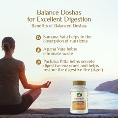 Maharishi Ayurveda Dizomap for Healthy Digestion 120 Tabs FREE SHIP