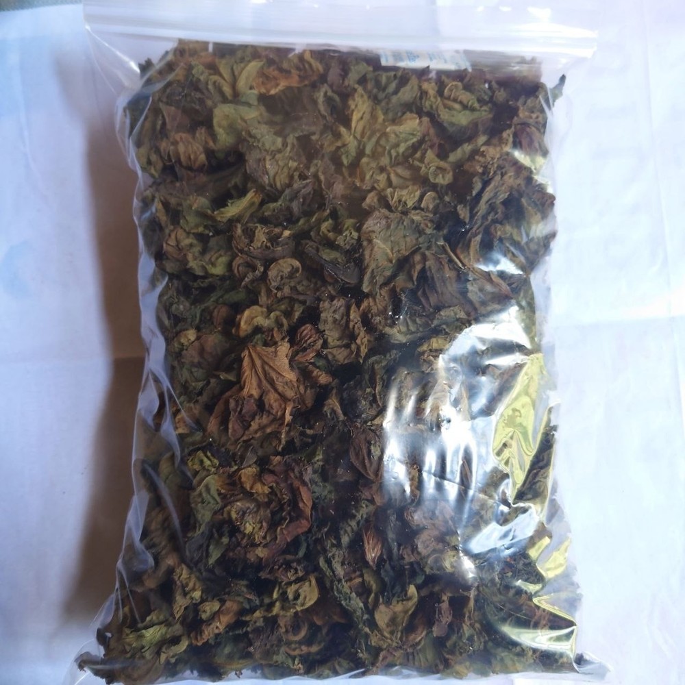 30g Dried Red Jatropha Curcas Leaves – Ratanjot Laljari Yatilung Jadi Herbs