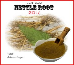 100% Pure Nettle Root High Potency 20:1 Extract Powder Testosterone Booster 50g
