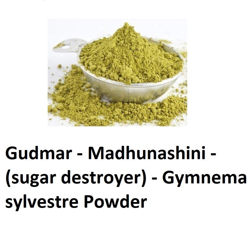 Gudmar Madhunashini (Gymnema sylvestre) Powder 100% Purest
