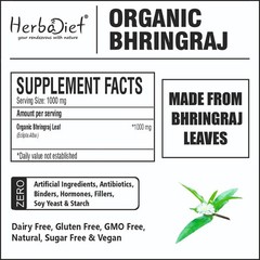 Wholesale 100% Organic Bhringraj Powder (Eclipta Alba) False Daisy – Bulk Supply