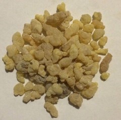 1 oz. Frankincense Resin (Boswellia serrata) Wildharvested India
