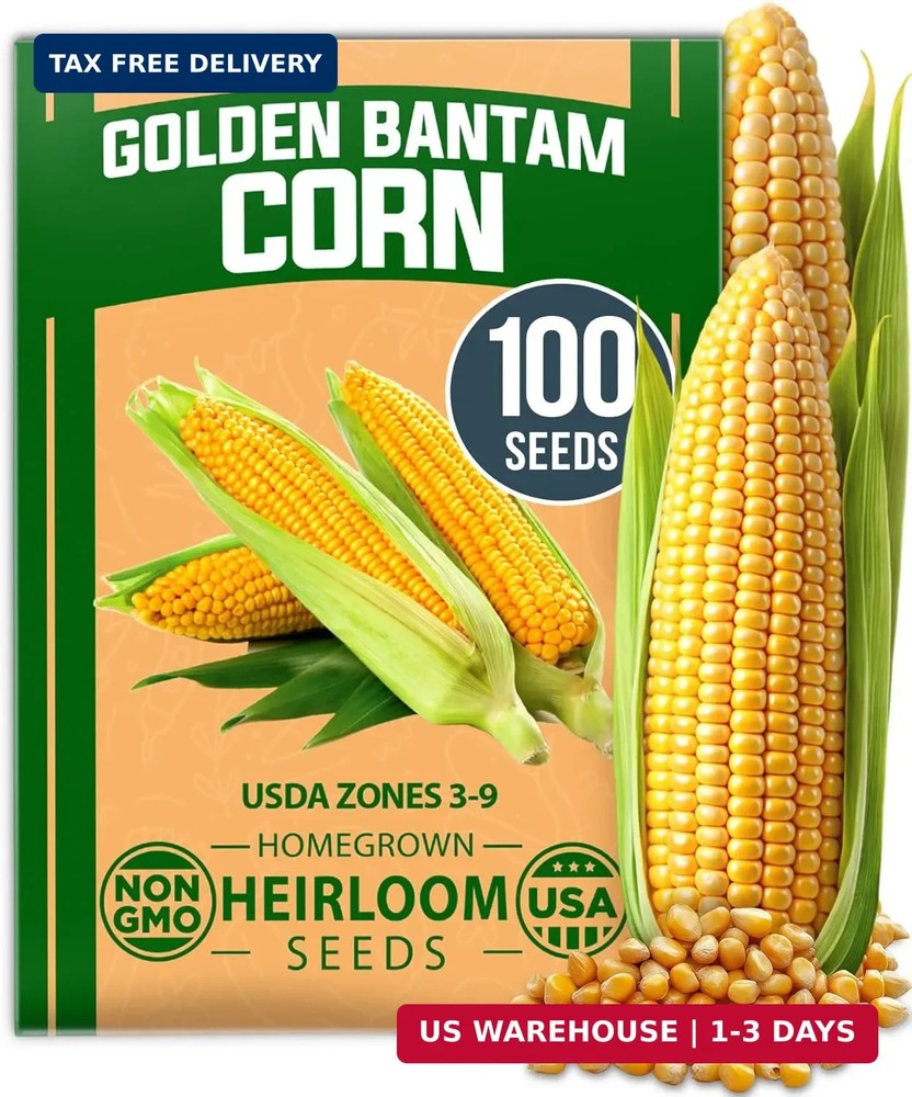 Golden Bantam Sweet Corn Seeds 100+ Heirloom Non-GMO Seeds for Planting, High Ge