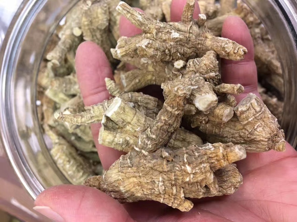 Half Wild American Wisconsin 7 years Ginseng 正宗美国威州半野生花旗参(7年中泡参)-U.S Seller