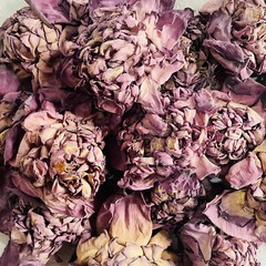 Ceylon Dried Pink Lotus Flower (Nelumbo Nucifera) Hand Packed Natural Organic ☕