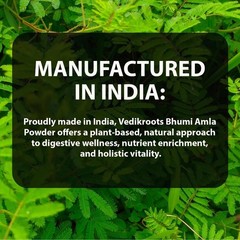 Vedikroots Bhumi Amla Powder | Organic Liver & Digestive Support | 100g f399