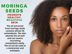 High-protein leaves – MORINGA OLEIFERA – Alkaline food 2 Bottles 120 Capsules