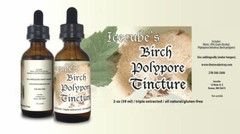 ICECUBE’S White BIRCH POLYPORE Triple Extracted 2 oz Tincture