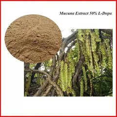 Mucuna Pruriens Extract Powder
