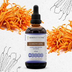 Secrets Of The Tribe Cordyceps Tincture Alcohol-FREE