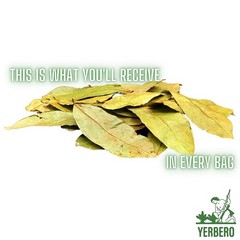 120+ Whole Wildcrafted Soursop Leaves 1.05oz – Culinary Delight Awaiting You