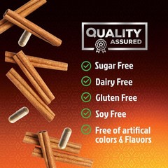 Organic Ceylon Cinnamon Supplement 1800mg – Extra 240 Count (Pack of 1)