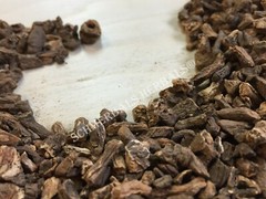 Dandelion Root, Taraxacum officinale, Roasted 1 oz FreeShip ~ Schmerbals Herbals