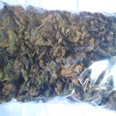 30g Dried Red Jatropha Curcas Leaves – Ratanjot Laljari Yatilung Jadi Herbs