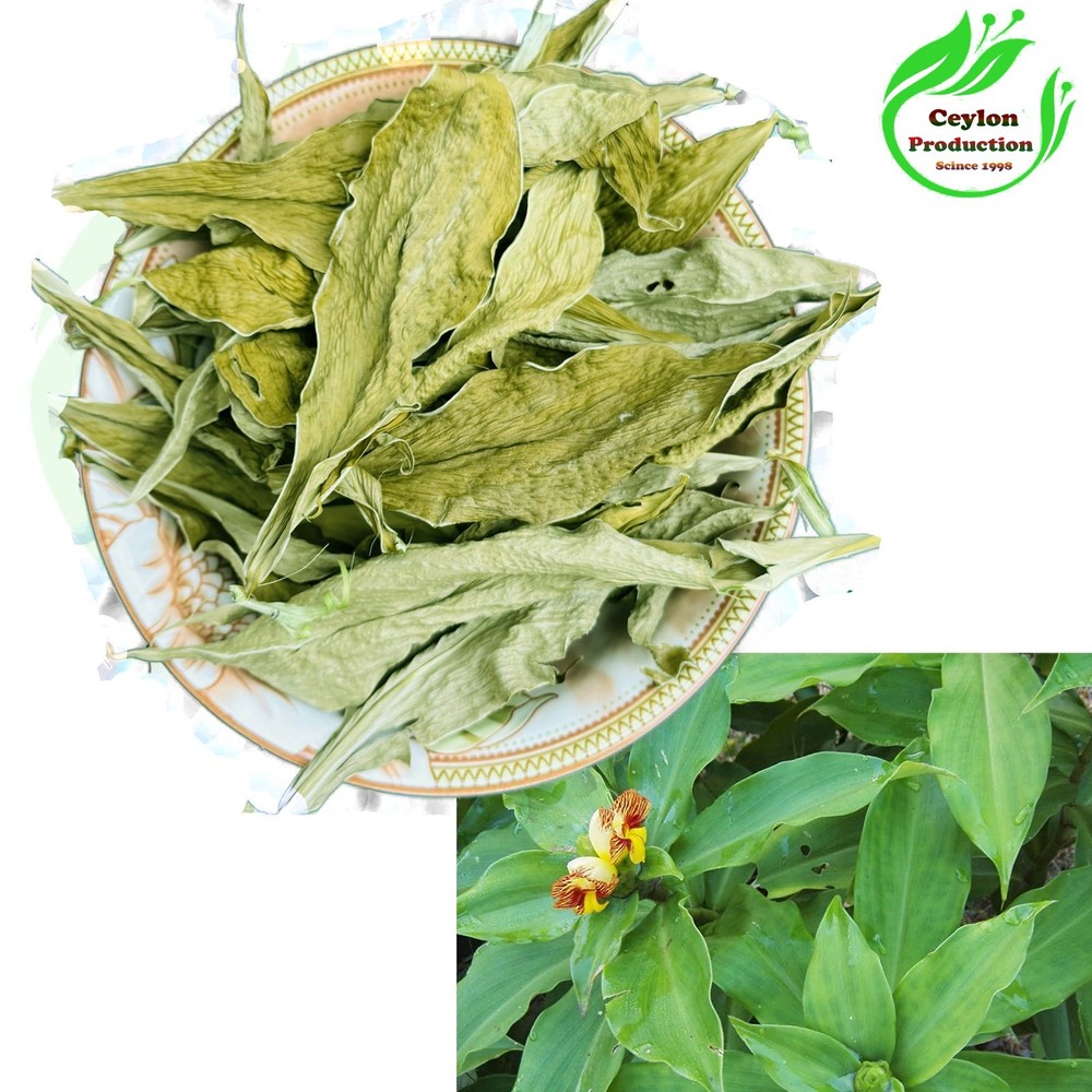 Dehydrated Insulin Plant whole leave Organic Blood Sugar Support Ayurvedic Herb
