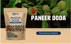 Whole Paneer Doda / Dodi Indian Rennet Withania Coagulans 8 OZ (226 grams)