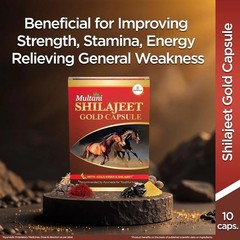 Multani Sheelajit Gold For Youthful Living 10 Capsule h317