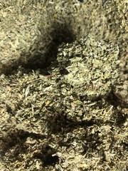 DAMIANA ORGANIC bulk cut c/s herb natural leaves wholesale 4 lbs pound