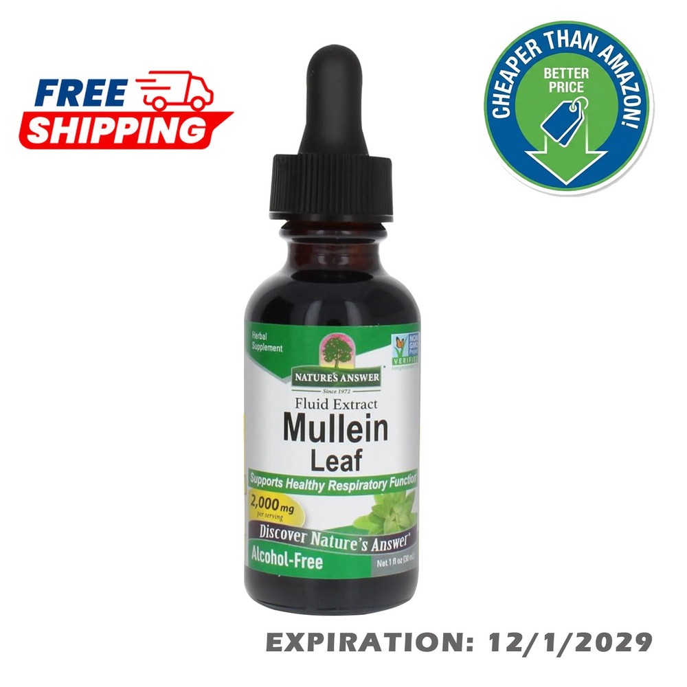 Nature’s Answer | Mullein Alcohol-Free 2000 mg 1 fl oz Alcohol-Free| 12/2029 Exp
