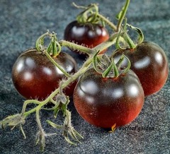 500 Seeds Solanum Lycopersicum Black Pearl Tomatoes Unique Black Gem Home Garden