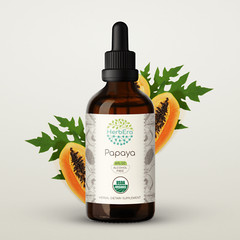 HerbEra Papaya Alcohol-FREE Tincture, Organic Papaya (Carica papaya)