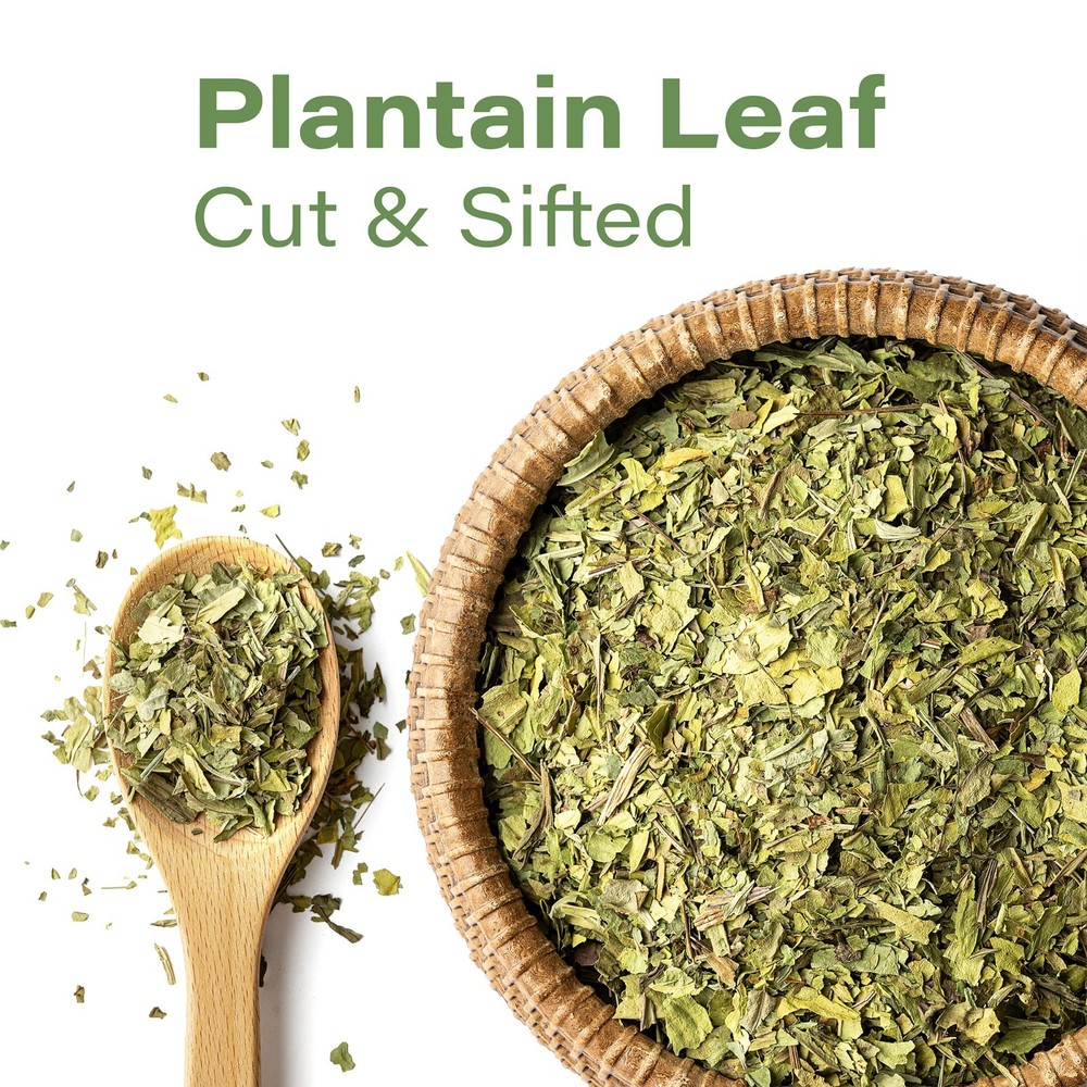Plantain Leaf Tea (Plantago Major) – Dried Loose Leaf Herb – Cut & Sifted