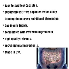 LACTOBACILLUS GASSERI, LACTOBACILLUS REUTERI, 120 Capsules, Intestinal Health.