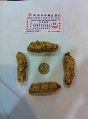 Ginseng from Wisconsin USA 7 1/2 years 1LB