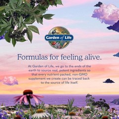 Garden of Life Organics Extra Strength Turmeric Supplement with Probiotics, Curc