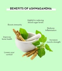 Vyas ASHWAGANDHADI GHRIT 100g, Herbal Ayurvedic General Weakness Fatigue Support