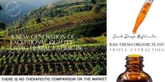 Blood Purifier: Made from Raw-Fresh-Organic Herbs