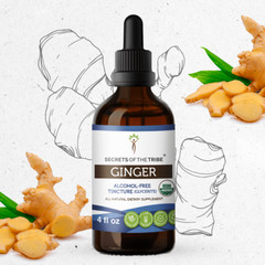 Secrets Of The Tribe Ginger Tincture Alcohol-FREE