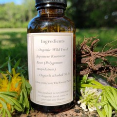 Organic Japanese Knotweed Extract, Knotweed tincture, Wild Hu zhang