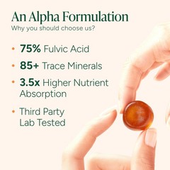 ROOT LABS 10-in-1 Alpha Shilajit Gummies | 4000 mg Pure 60 Count (Pack of 1)