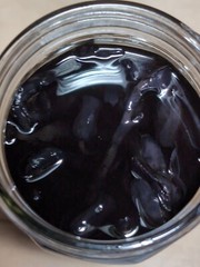 Ghost Pipe Tincture 30 mL All Natural Tinctured immediately after picking!