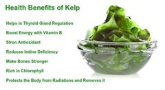 60 SuperFood Green Powder Capsules – Moringa + Spirulina + Wheatgrass + Kelp