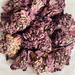 Ceylon Dried Pink Lotus Flower (Nelumbo Nucifera) Hand Packed Natural Organic ☕