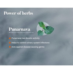 Himalaya Punarnava 60 Tablet Kidney Wellness Fluid Balance Herbal Support 5 Pack
