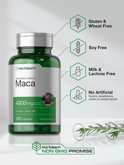 Herbal Maca Capsules 120 Count Natural Supplement Non-gmo Optimal Absorption