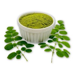 100% Pure Moringa Powder Raw Organic Non-GMO Bulk Wholesale