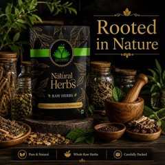 SAI HERBS Gule Gazwan – Gule Gajwan – Onosma Bracteatum Flower