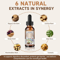 Black Walnut Wormwood Black Seed Oil Cleanse Tincture, 23-in-1 Gentle Gut Detox