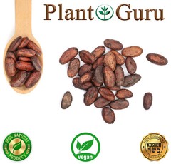 Raw Cacao /Cocoa Beans Whole Chocolate 65 Grams = 2.29 Ounce – PURE from AFRICA